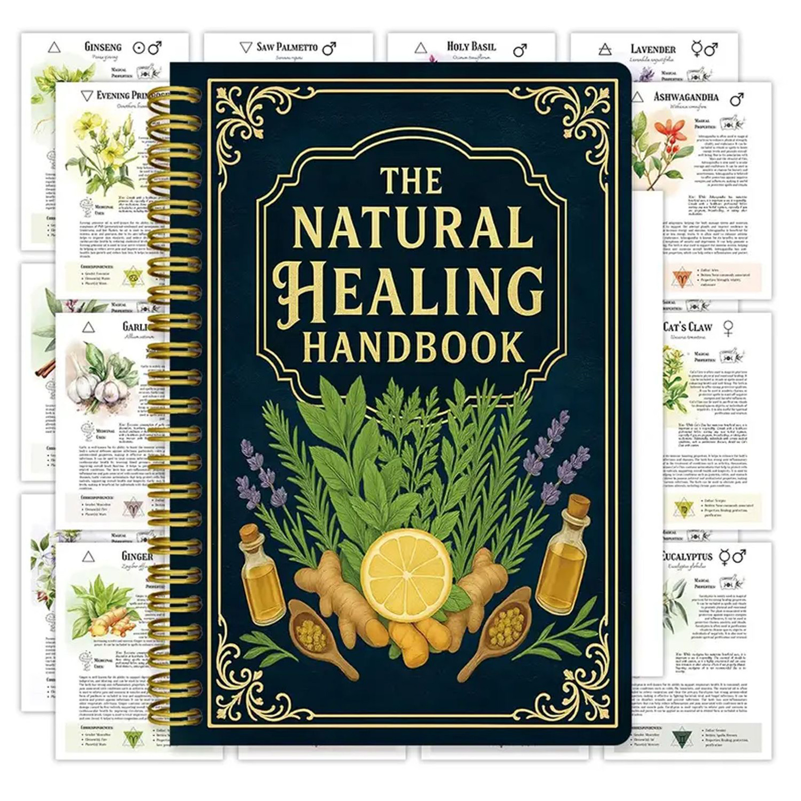 Health Wellness Guide - Natural Healing Handbook By Luna Filby