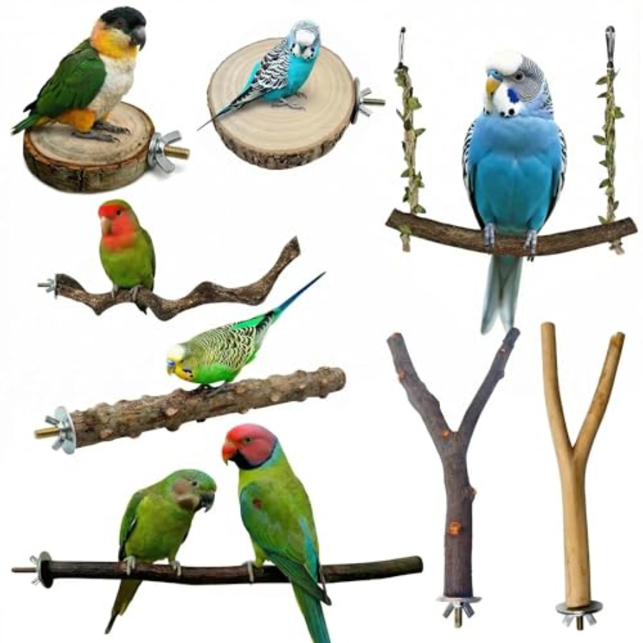 8PCS natural wood bird perches - Health & Wellness Unit avis et prix