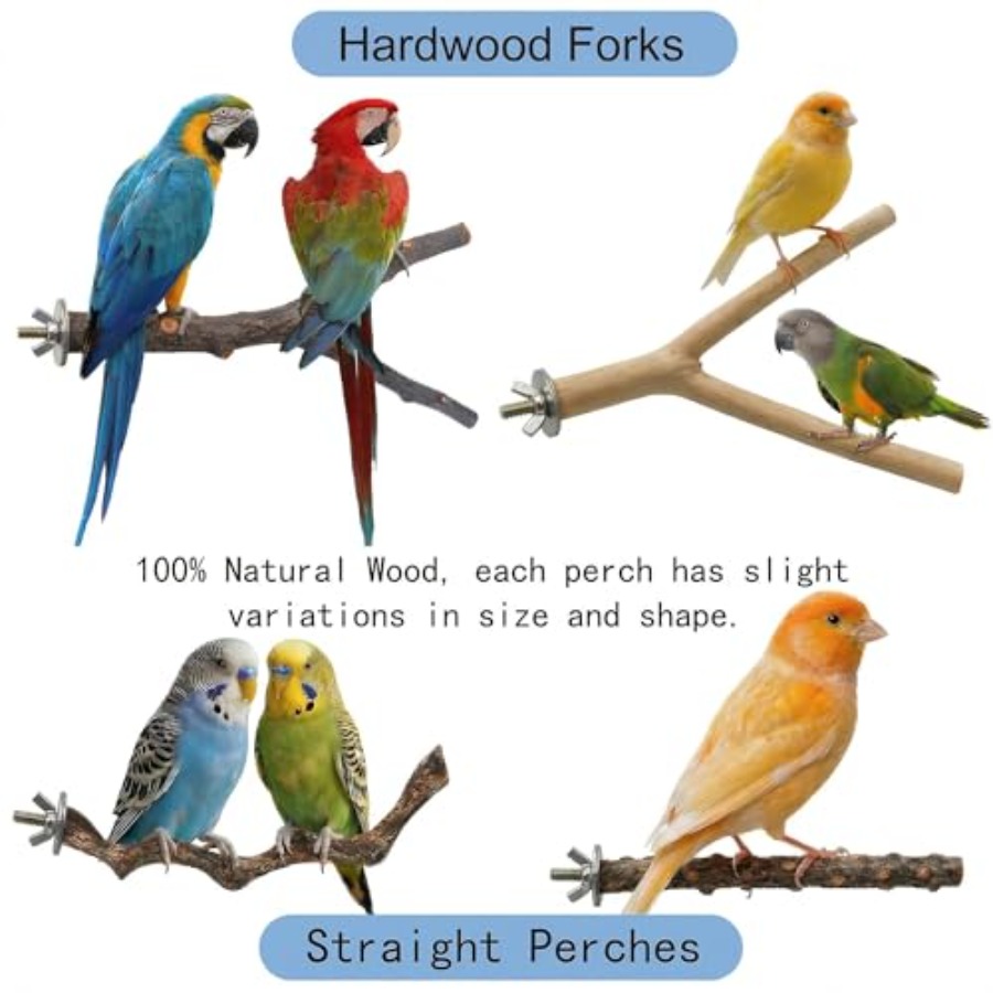 8PCS natural wood bird perches - Health & Wellness Unit avis et prix