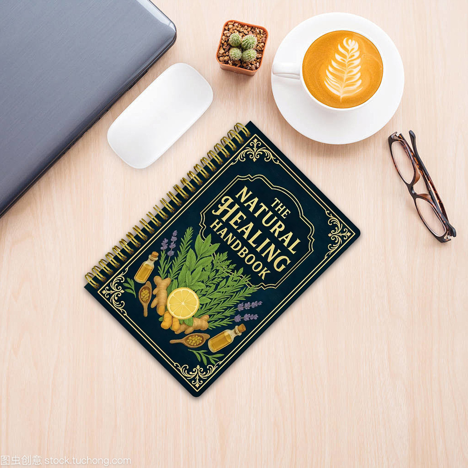 Natural Healing Handbook By Lu - Health Wellness Guide avis et prix