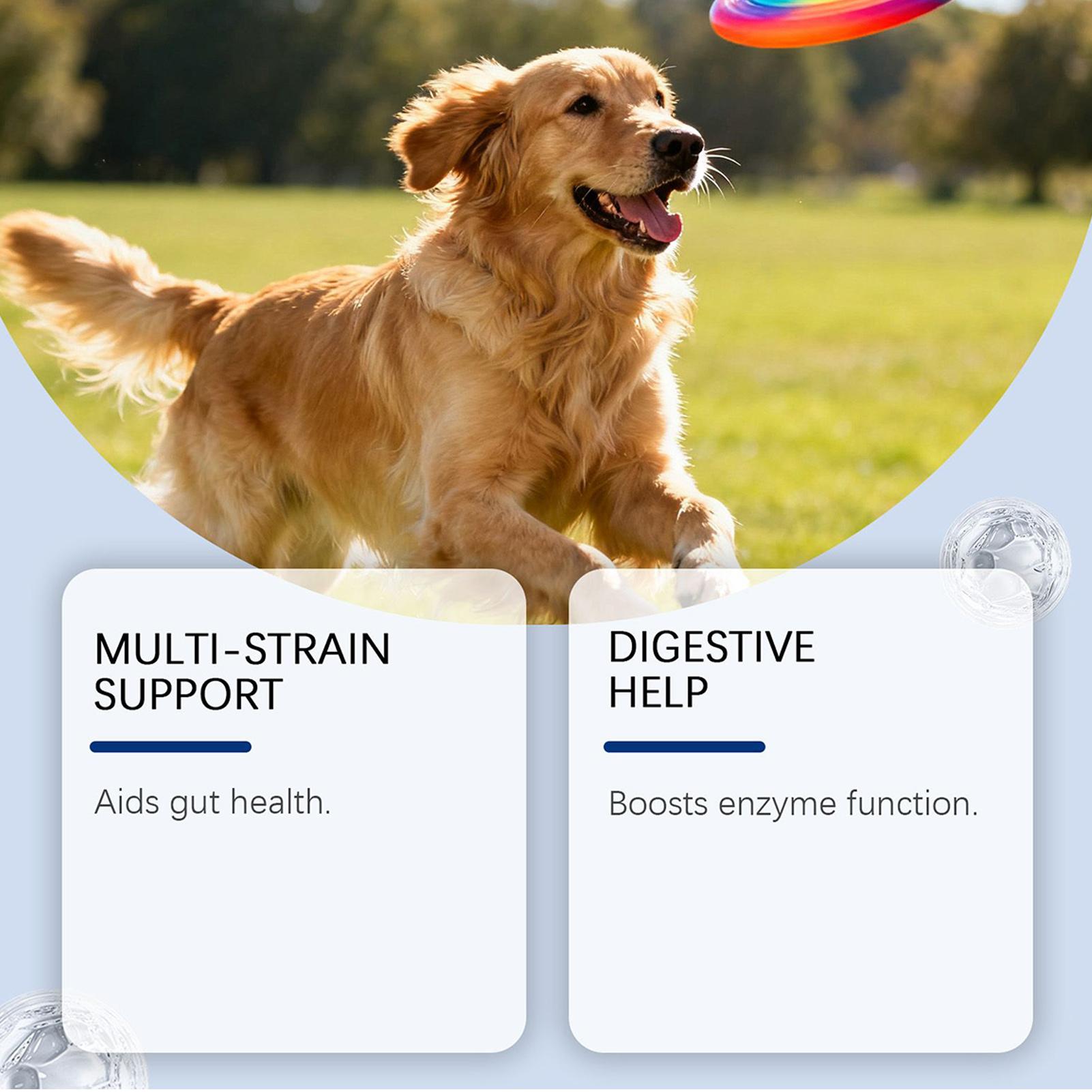 Dog Wellness Bites Healthy Nat - Health Wellness Food avis et prix